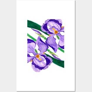 Diagonal Purple Iris Posters and Art